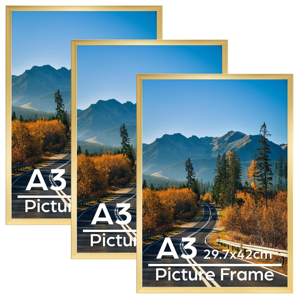 Vasemouh A3 Picture Frame Pack Of 3, A3 Frame, Horizontal Or Vertical Wall Hanging For 29.7X42cm Posters, Prints, Artwork Gold 5051221968285
