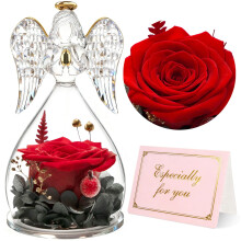 Yamonic Valentines Gifts for Women, Preserved Real Rose in Glass Angel Gift for Mum, Eternal Rose Gifts for Her, Birthday Gift For Mum Nana Daughte,