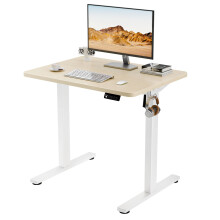ERGOMAKER Electric Small Standing Desk 80x60cm Height Adjustable Desk, Sit Stand Desk with Memory Handse and Hooks, for Home Office (White Frame +