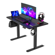 FEZIBO Electric Standing Desk For Gaming 100 * 60 cm Heigh Adjustable Stand up Table with digital display controller, Sit Stand Home Office Desk with