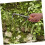 Weeder Tool with Ergonomic Wooden Handle for Precise Weed Removal, Digging and Transplanting 5