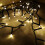 Premier 1,000 LED (25 Meter) Premier TreeBrights Cluster Tree Lights in Warm White 2