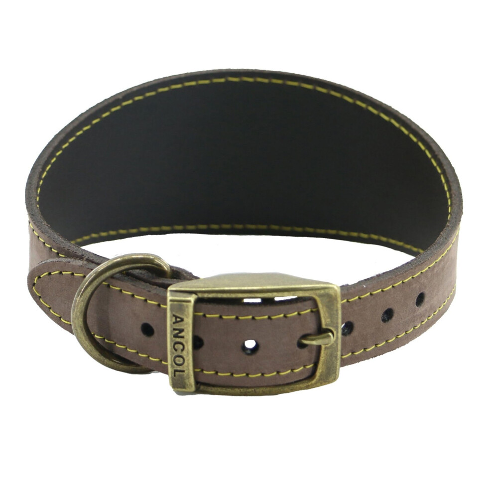 Ancol Timberwolf Greyhound Collar Sable 34-43Cm