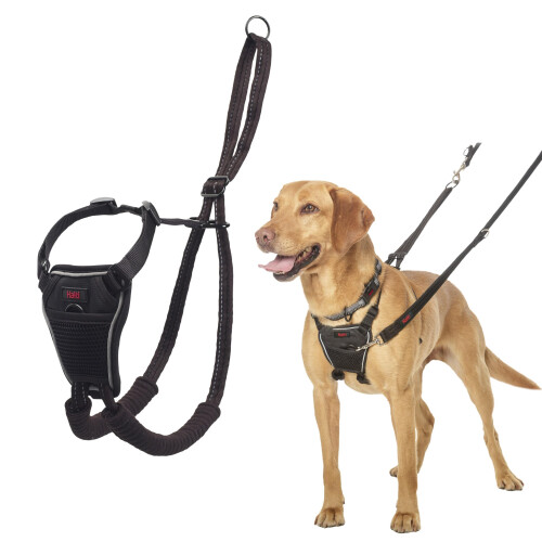 Halti HALTI No Pull Harness Size Medium, Professional Dog Harness to Stop Pulling on the Lead, Easy to Use, Anti-Pull Training Aid, Adjustable, Reflective