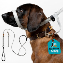 Total Pet Figure of 8 Dog Lead Flat with Anti Tangle Swivel Mechanism ? Anti Pull Stop Dogs Pulling ? Slip Leads Reflective with Padded Nose Support -
