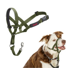 HALTI Headcollar - Stop Your Dog Pulling on the Lead. Adjustable, Reflective and Lightweight, with Padded Nose Band. Dog Training Anti-Pull Collar for