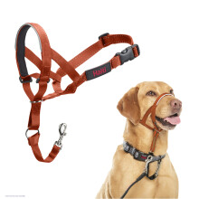 HALTI Headcollar - Stop Your Dog Pulling on the Lead. Adjustable, Reflective and Lightweight, with Padded Nose Band. Dog Training Anti-Pull Collar for