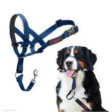 HALTI Headcollar - Stop Your Dog Pulling on the Lead. Adjustable, Reflective and Lightweight, with Padded Nose Band. Dog Training Anti-Pull Collar for