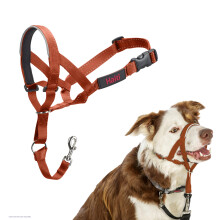 HALTI Headcollar - Stop Your Dog Pulling on the Lead. Adjustable, Reflective and Lightweight, with Padded Nose Band. Dog Training Anti-Pull Collar for