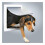 Trixie Trixie 2-Way Dog Flap, 30 x 36 cm, White 2