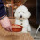 Thrive dog food - Salmon(Pack of 6) 2