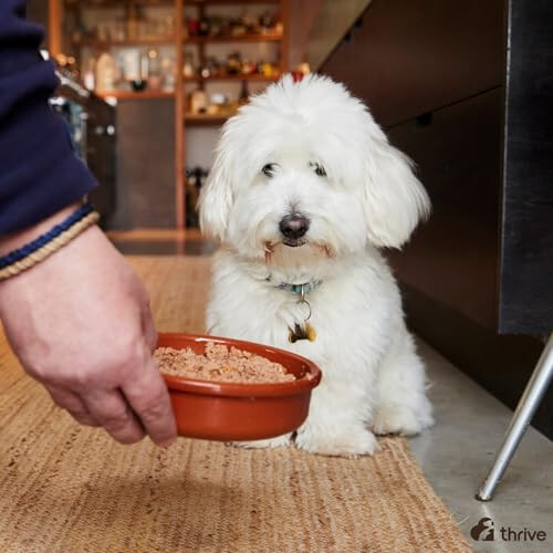 Thrive dog food - Salmon(Pack of 6) 1