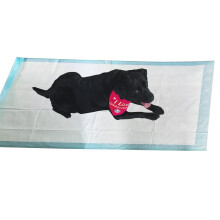 EXTRA LARGE PUPPY PADS XXL 160CM TRAINING TOILET PEE WEE MATS FLOOR TRAINER MEDIUM TO XL DOG TRAIN PET JUMBO ANTI CLIP PROTECTION PROTECTOR SHEET