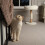 Scruffs Scruffs Appalachians Cat Scratching Tree 5