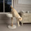 Scruffs Scruffs Appalachians Cat Scratching Tree 3