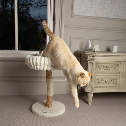 Scruffs Scruffs Appalachians Cat Scratching Tree 2