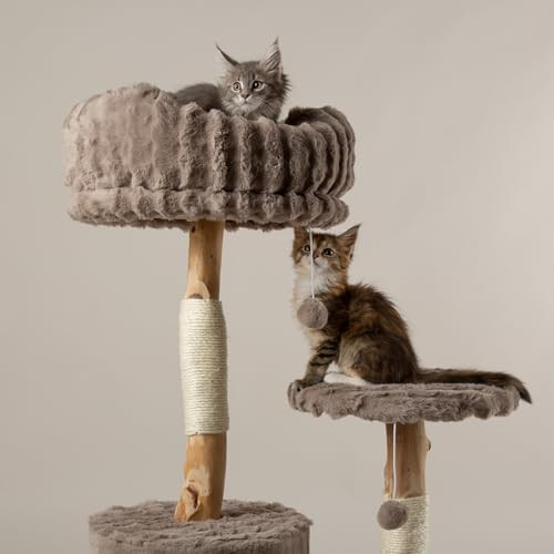 Scruffs Scruffs Colorado Cat Scratcing Tree 2