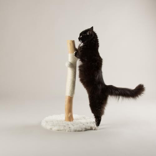 Scruffs Scruffs Rockies Cat Scratching Tree 2