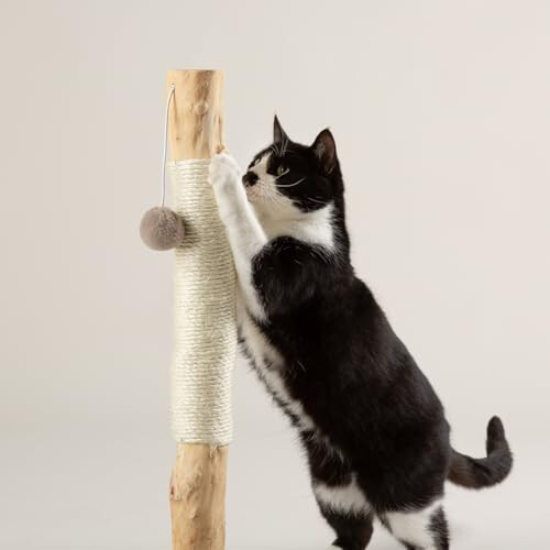 Scruffs Scruffs Rockies Cat Scratching Tree 2