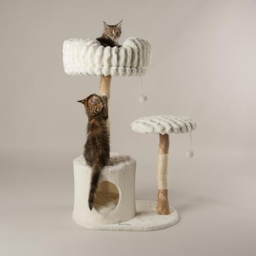 Scruffs Scruffs Colorado Cat Scratcing Tree 2