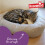 Rosewood Rosewood Dotty Small Feline Bed, Soft Cat Bed 3