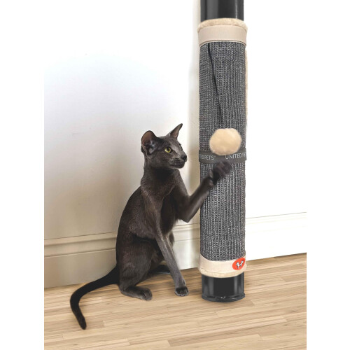 UNITED PETS CAT SCRATCHER ? 1