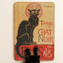 Cat Scratching Mat - Sisal Scratcher for Wall, Floor or Sofa - 60x40cm Scratch Board - Anti-Slip, Easy to Mount, Shedding-Resistant - Aesthetic Design