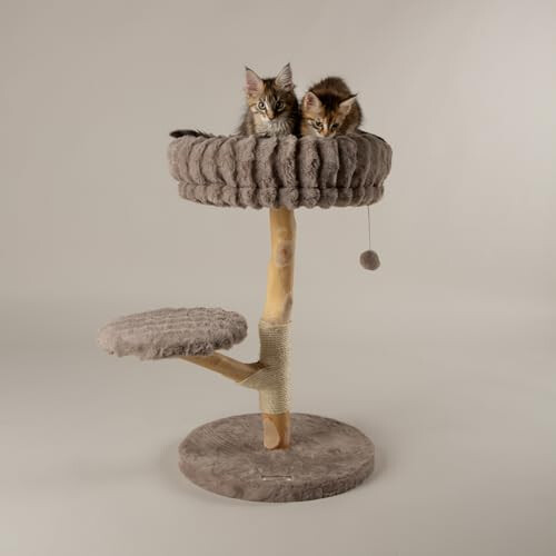 Scruffs Scruffs Atlas Cat Scratching Tree 2