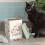 Wrendale Wrendale Designs Cat Treat Tin 4