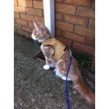 Mynwood Cat Jacket/Harness Caramel Kitten up to 8 month
