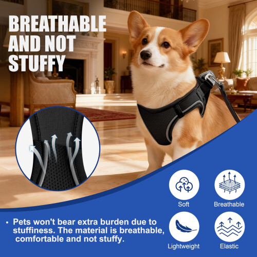 Qianruida Reflective Cat Harness with Lead - Adjustable for Small to Medium Cats (Black) 2