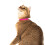 Nuvuq Comfortable, Soft and Light Cat Collar with Breakaway Snap Button (Raspberry Pink) 5