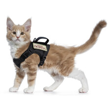 Tactical Cat Harness for Walking Escape Proof, Soft Mesh Adjustable Pet Vest Harness for Large Cat,Small Dog (Medium, Black)