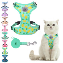 BEAUTYZOO Cat Harness and Leash Set Escape Proof, Medium Cat Vest Harness for Walking, Adjustable Step in Kitten Harnesses for Travel, Soft