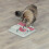 Trixie Cat Activity Poker Box, 31 ? 31 cm 2
