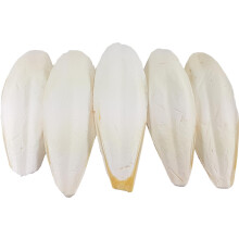 Britten and James Extra Large Cuttlefish 21 ? 28cm (Pack of 5). Suitable for Parakeets, Budgies, Canaries, Tortoises, Turtles, Snails and Terrapins
