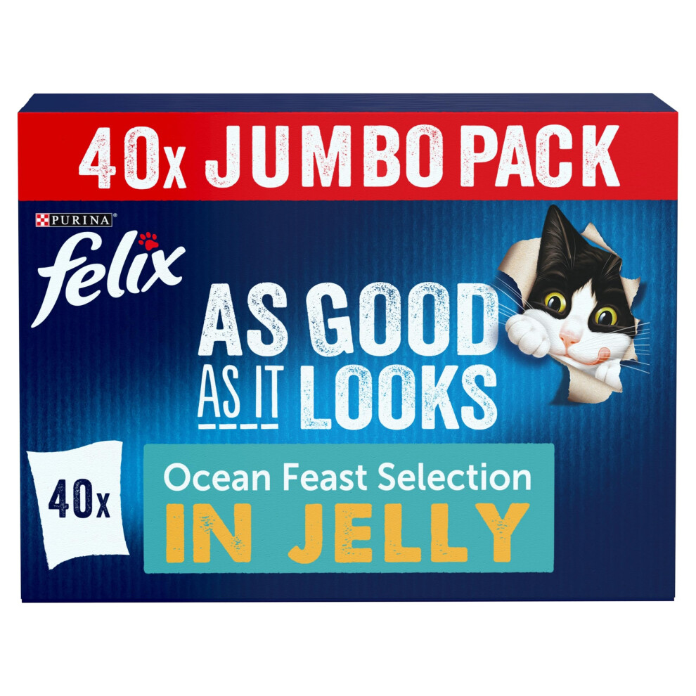 Felix As Good As It Looks Ocean Feasts Wet Cat Food 40X85g