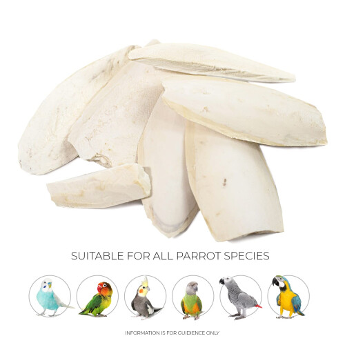 Parrot Essentials - Broken Cuttlefish Bone for Parrots & Cage Birds - 100g Pack 1