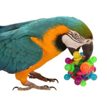 Binkies Ball Foot Toy for Parrots - Large