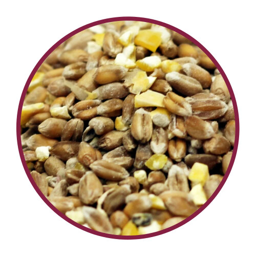 Copdock Mill Mixed Corn Poultry Feed with Verm-X 5ltr Tub?, Packaging May Vary 2