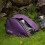 Lakeland Active Mosedale Waterproof Walking Boot Bag - Purple 4