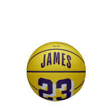 Wilson Basketball, NBA Player Icon Mini