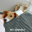 BEDELITE Fluffy Sherpa Fleece Blanket - Throw Size Grey Sofa Throw Thi 2