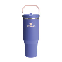 Stanley Flip Straw Tumbler 1.0 Water Bottle With Straw 0.89L - Keeps C