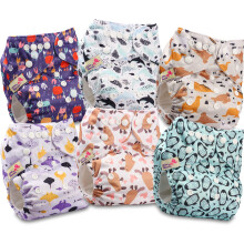 Littles and Bloomz Baby Reusable Pocket Nappy Cloth Diaper, Standard Popper, 6 Nappies, FLP2-0601