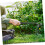 2pcs Stand Up Weeder Garden Tool Set with Long Handle Comfort and Efficient Root Removal 5