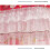 Mosquito Net Bed Canopy Pink Lace Double Layer for Double Bed with Four Corner Posts 5