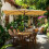 Patio Umbrella Replacement Canopy 6.5x10ft UV30+ WaterResistant Rectangular Outdoor Cover 2