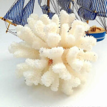 12–14 cm Natürliche Korallen Meerweißer Korallenbaum Weiße Koralle 25–26