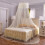 Mosquito Net Bed Canopy for Double and Single Bed with Elegant Dome Design and Ceiling Hook 1